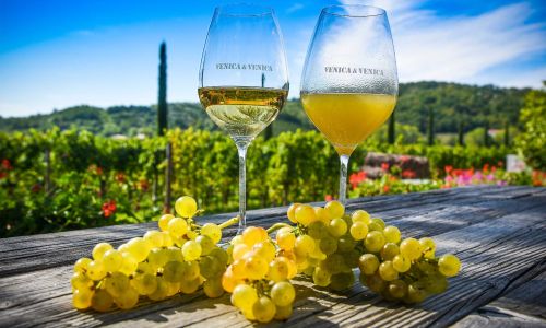 bicchieri petris malvasia