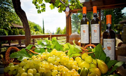 malvasia petris venica