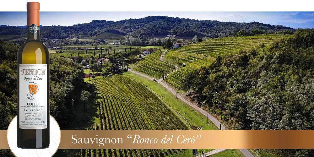 ronco cerò vigneto 2023